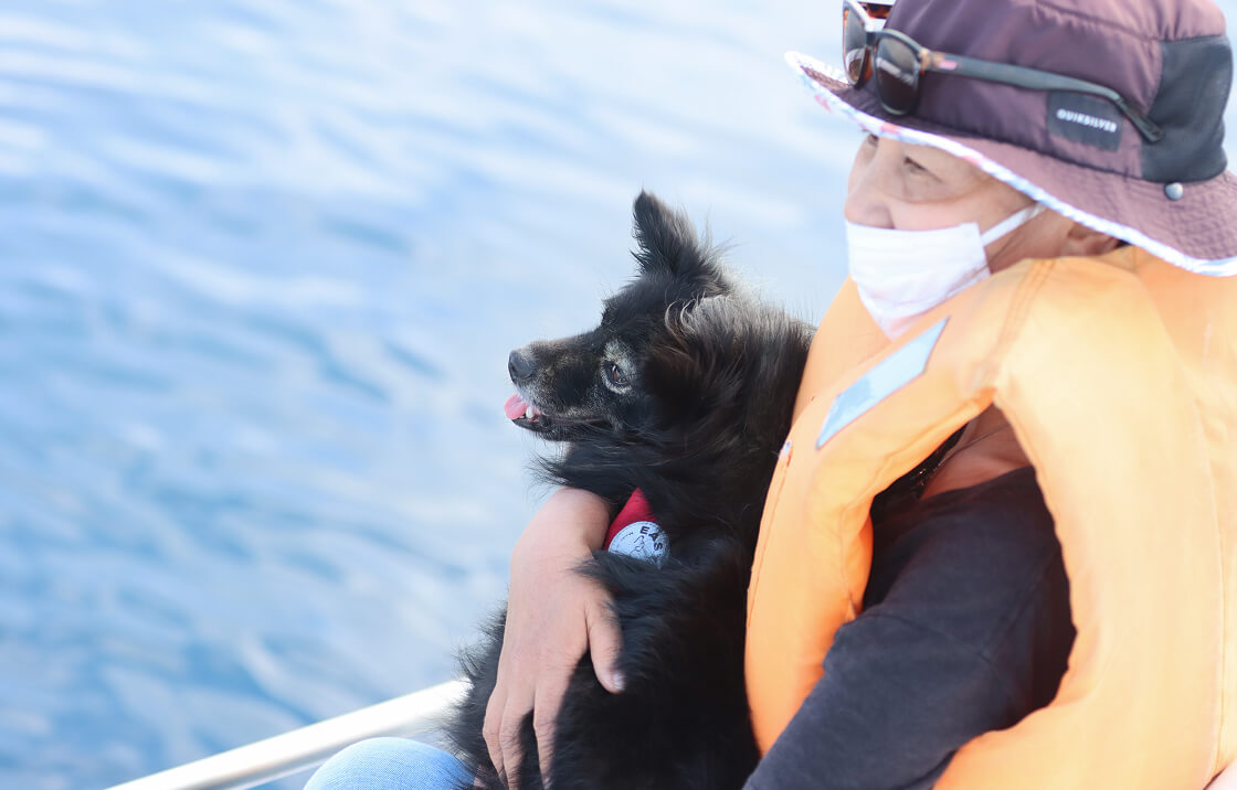愛犬と一緒にツアー参加