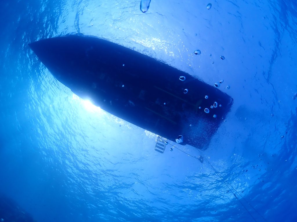 きれいな水納島を満喫！